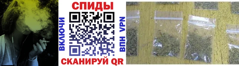kraken   Козловка  БУТИРАТ буратино 