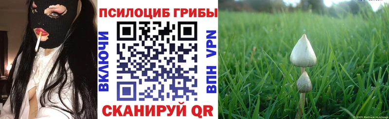 цены   Козловка  hydra онион  Псилоцибиновые грибы ЛСД 
